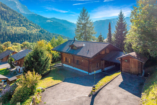 vue sur la montagne avec mountain view, vue sur la montagne, forest view, vue sur la forêt, et property visible