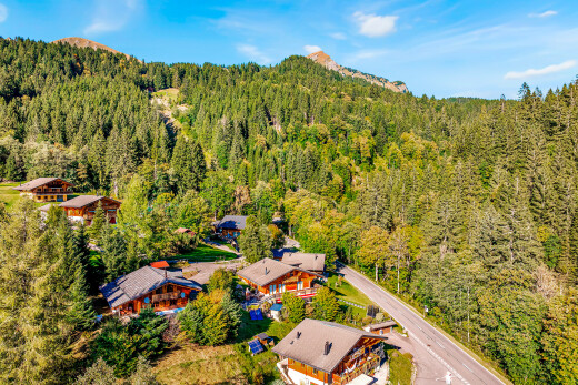 vue sur la montagne avec forest view, vue sur la forêt, day time, et aerial view