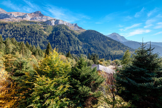 vue sur la montagne avec vue sur la montagne, mountain view, vue sur la forêt, forest view, et day time
