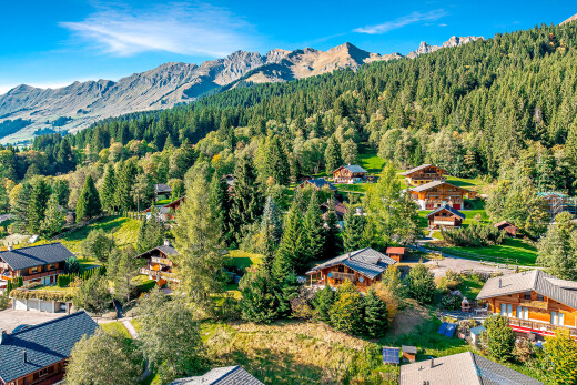 vue sur la montagne avec vue sur la montagne, mountain view, vue sur la forêt, forest view, et day time