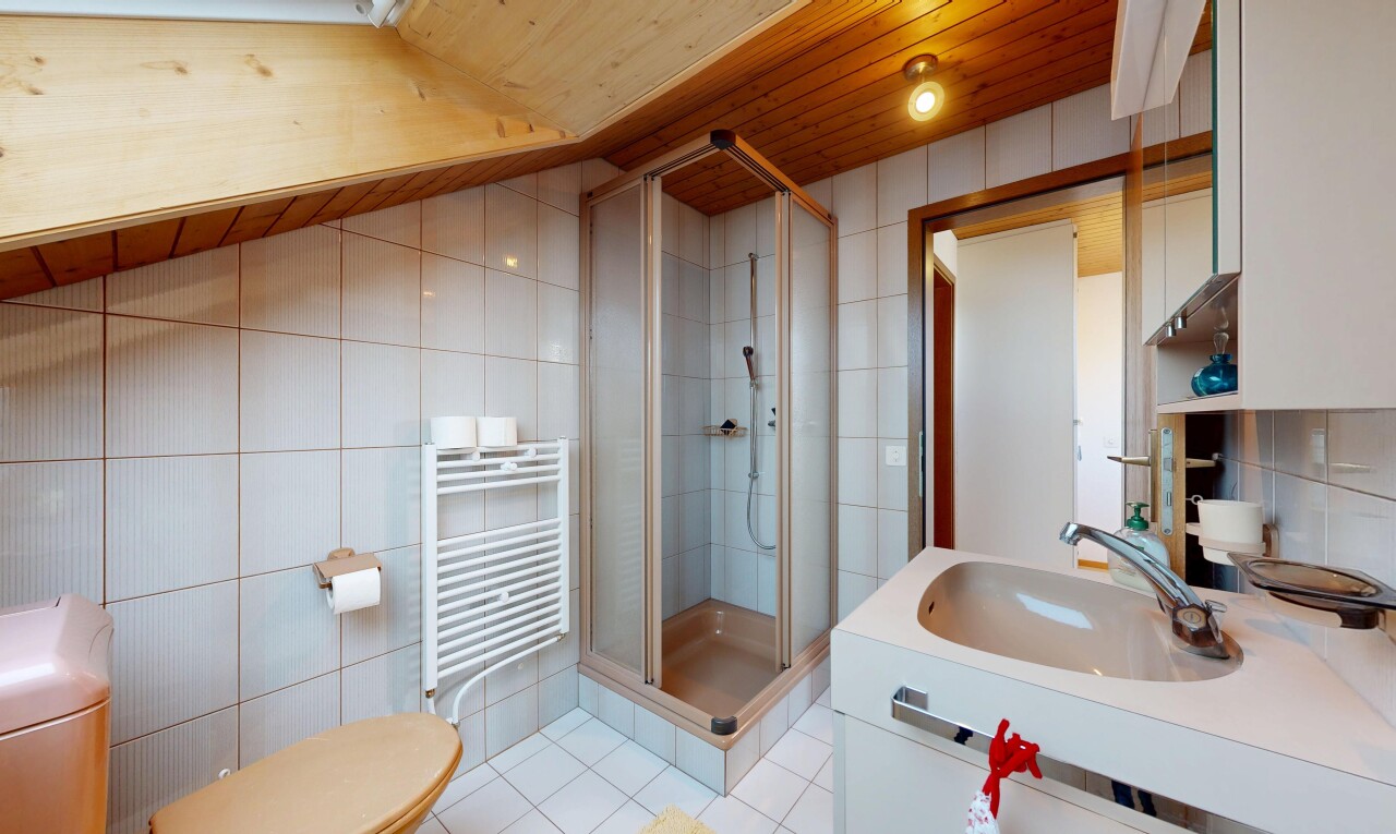 salle de bains avec tile wall, mur en carrelage, radiateur, douche, et salle de bain complète