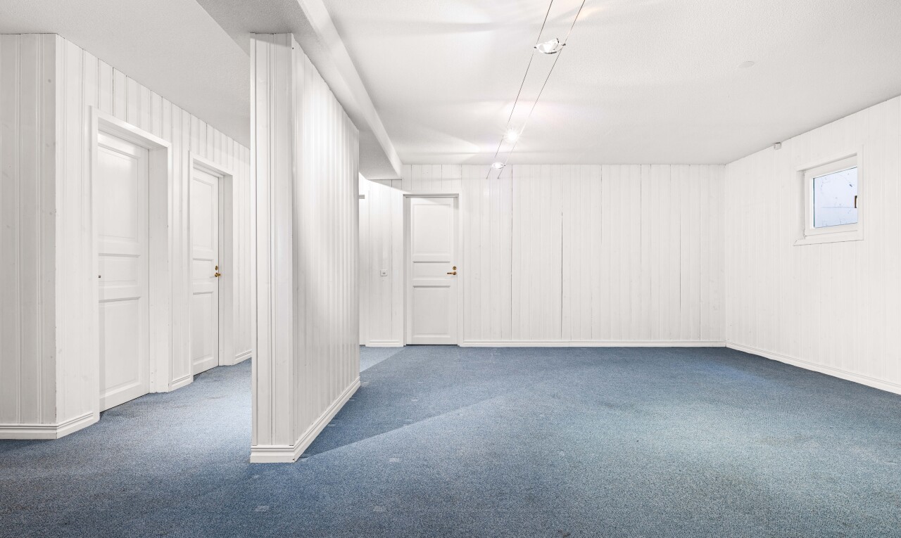 leerer raum mit teppich, carpet, keller, inside property, und dark floor