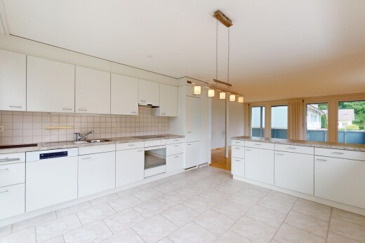 küche mit geschirrspülmaschine, natürliches licht, natural light, waschbecken, und arbeitsplatten