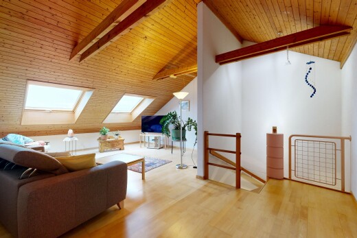 salon avec puits de lumière, plafond à poutres, beamed ceiling, plafond voûté, et vaulted ceiling