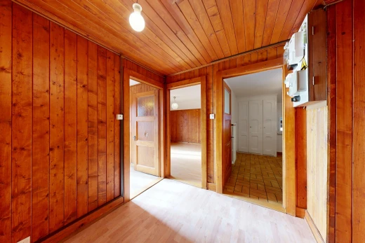 couloir avec mur en bois, wood wall, placard, plafond en bois, et wood ceiling