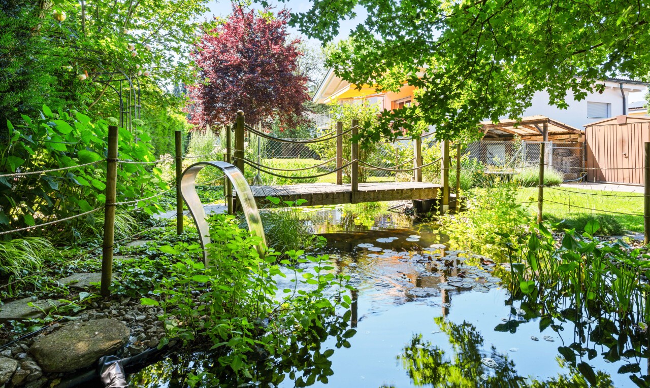 garden with a water view