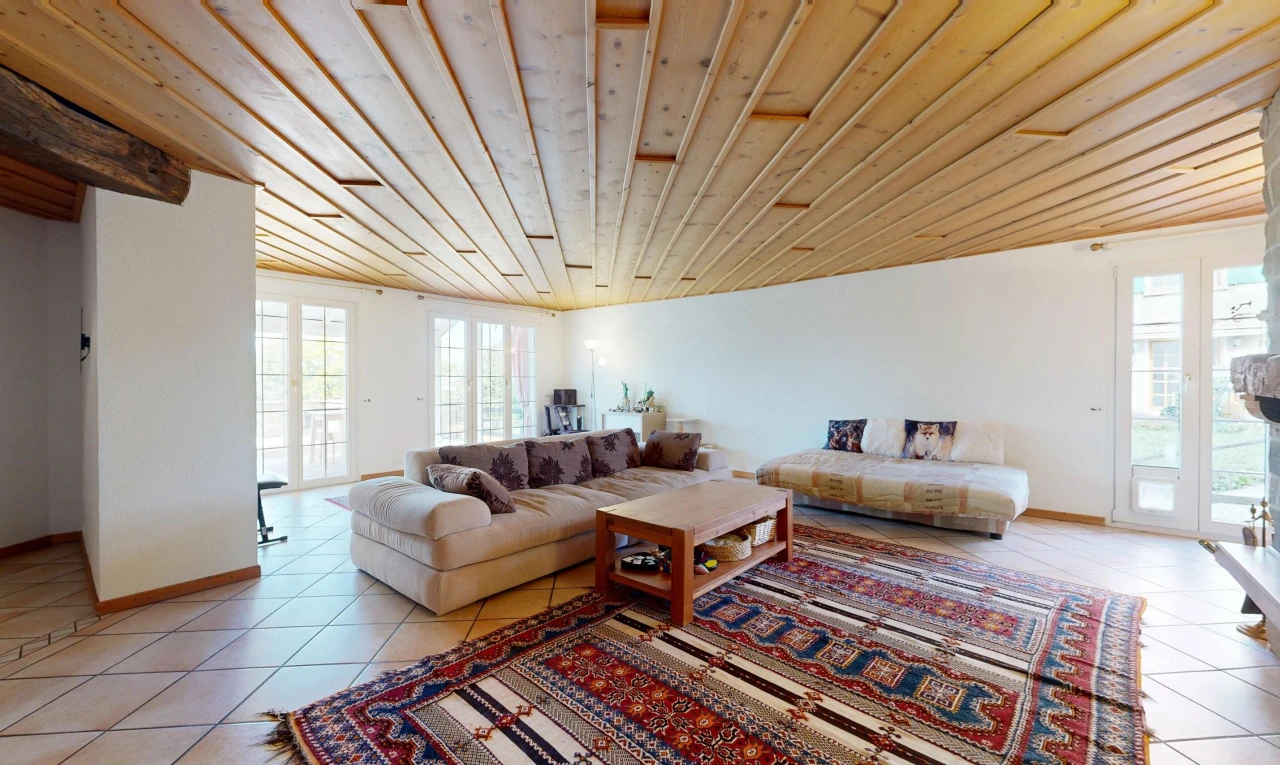 salon avec accès à l'extérieur, plafond en bois, wood ceiling, high end ceiling, et cloison sèche