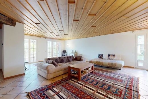 salon avec accès à l'extérieur, plafond en bois, wood ceiling, high end ceiling, et cloison sèche