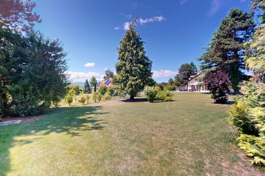 garten mit rasen und day time