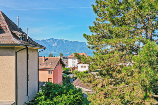 mountain view