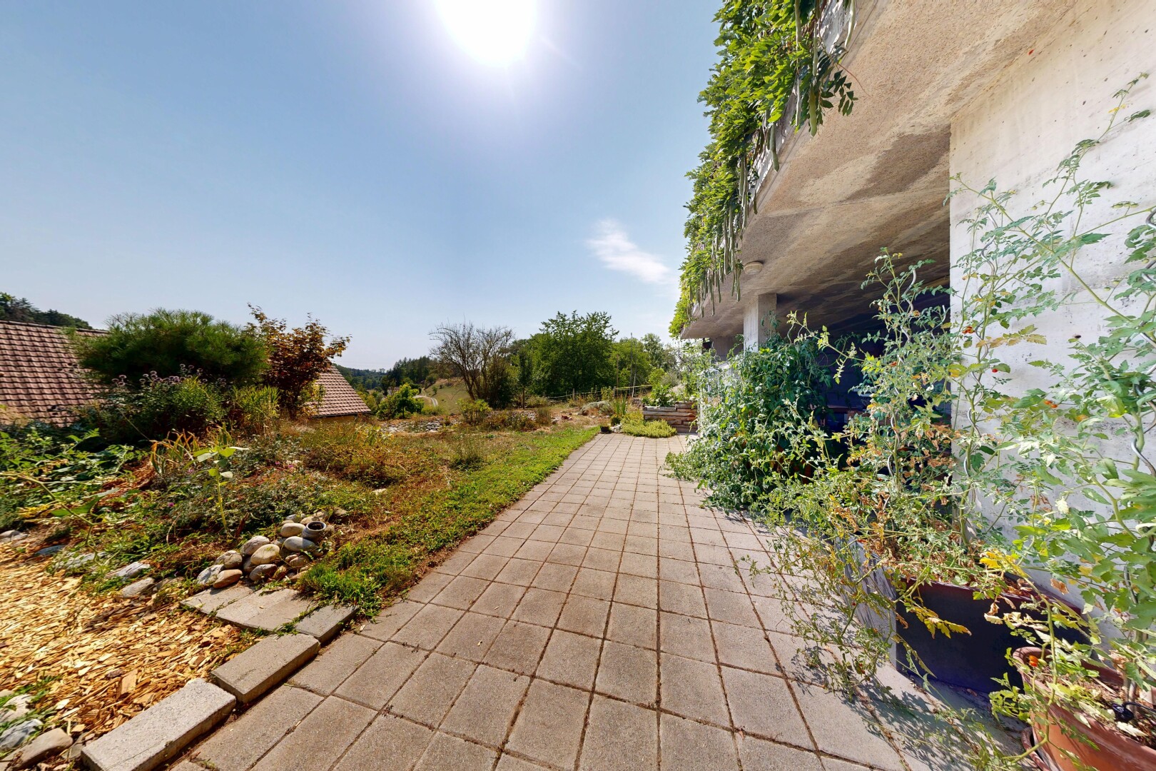 jardin avec from property et day time