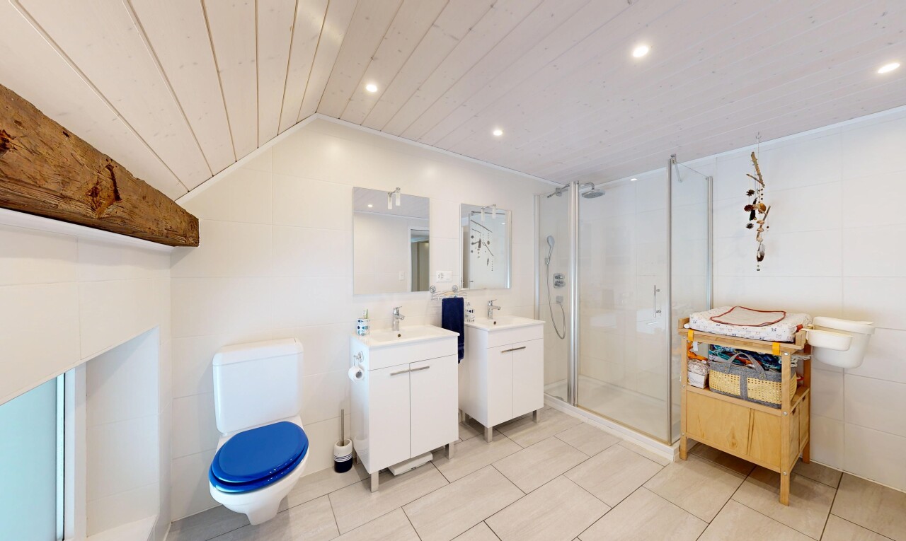 salle de bains avec salle de bain complète, douche, deux lavabos simples, miroir, et toilette