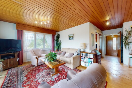 wohnzimmer mit fernseher, inside property, wood ceiling, holzdecke, und wood finish floor