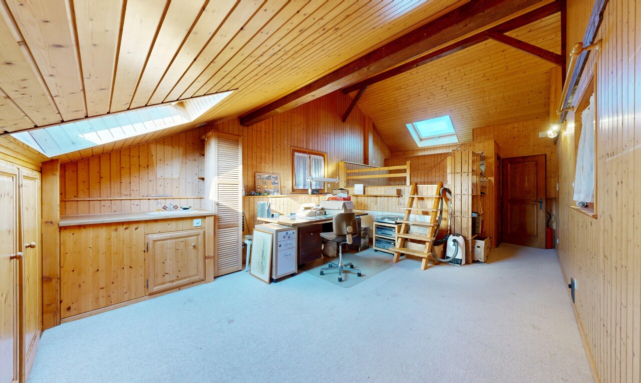 büro mit dachfenster, teppich, carpet, holzwand, und wood wall