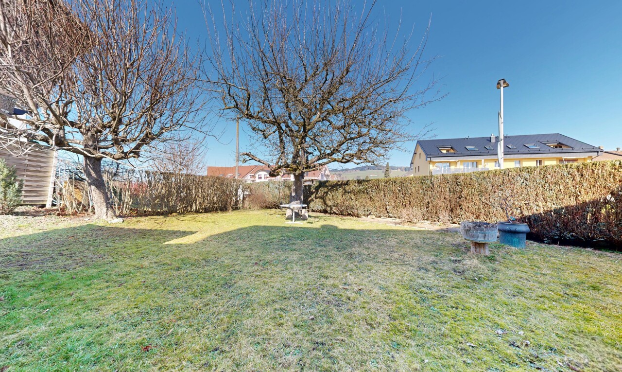 garten mit rasen, zaun, day time, und from property