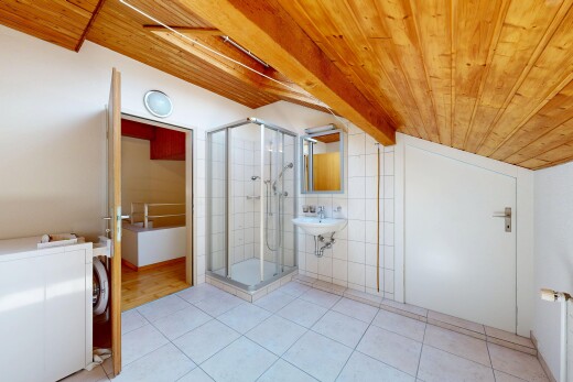 bad mit high end ceiling, dusche, drywall, gipskartonwand, und komplettes badezimmer