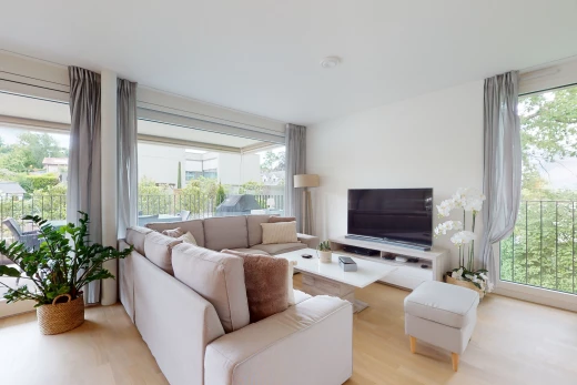 salon avec parquet, lumière naturelle, et télévision