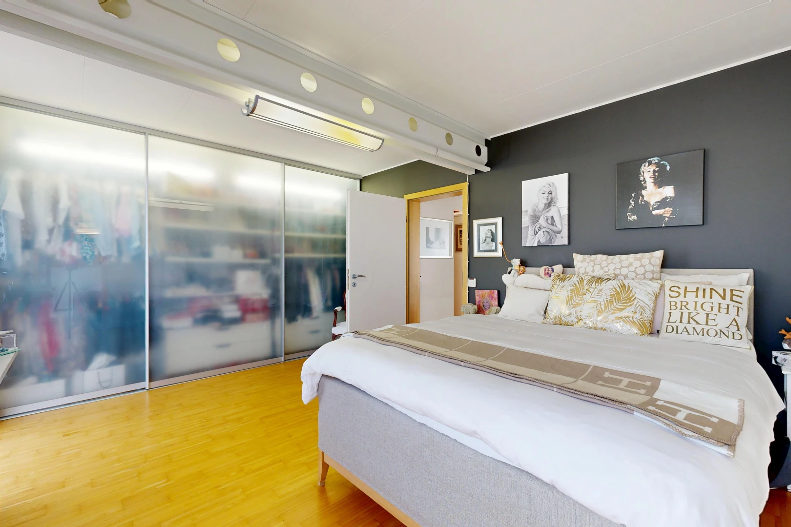 room with light wood-style flooring, a closet, and track lighting
