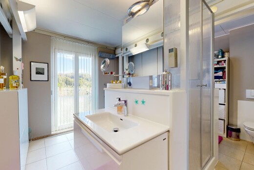 salle de bains avec douche, salle de bain complète, lavabo (ou coiffeuse selon le contexte), miroir, et évier