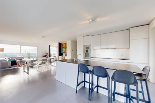 cuisine avec flat panel cabinets, armoires à panneau plat, white cabinets, armoires blanches, et dark countertops