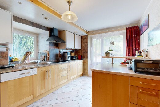 cuisine avec hotte, lave-vaisselle, dosseret, backsplash, et lumière naturelle