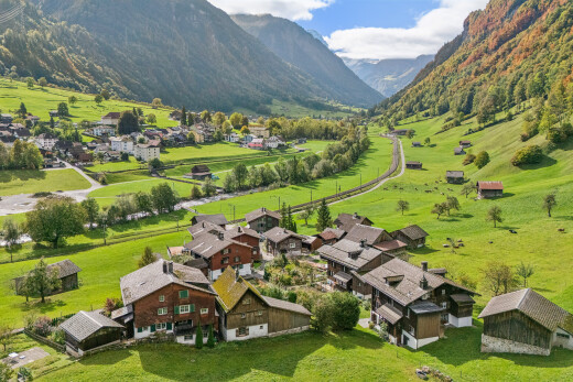 mountain view