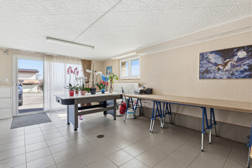 büro mit natürliches licht, natural light, light floor, inside property, und day time