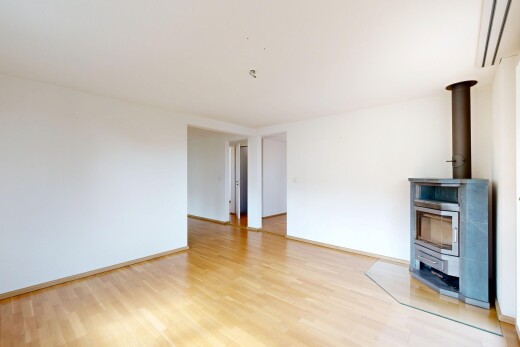 leerer raum mit holzofen, gipskartonwand, drywall, holzfußboden, und wood finish floor