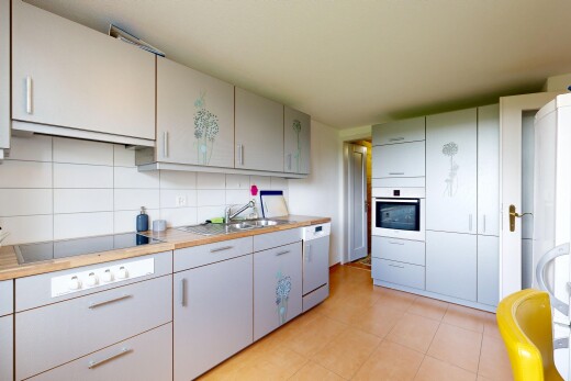 küche mit inside property, küchenrückwand beim herd, küchenrückwand beim Herd, ofen, und dunstabzugshaube