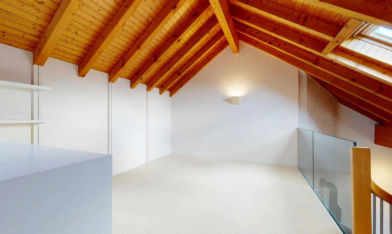 leerer raum mit vaulted ceiling, dachschräge, cathedral ceiling, kathedralendecke, und high end ceiling