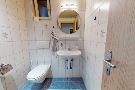 bad mit spiegel, gäste-wc, fliesenwand, tile wall, und inside property