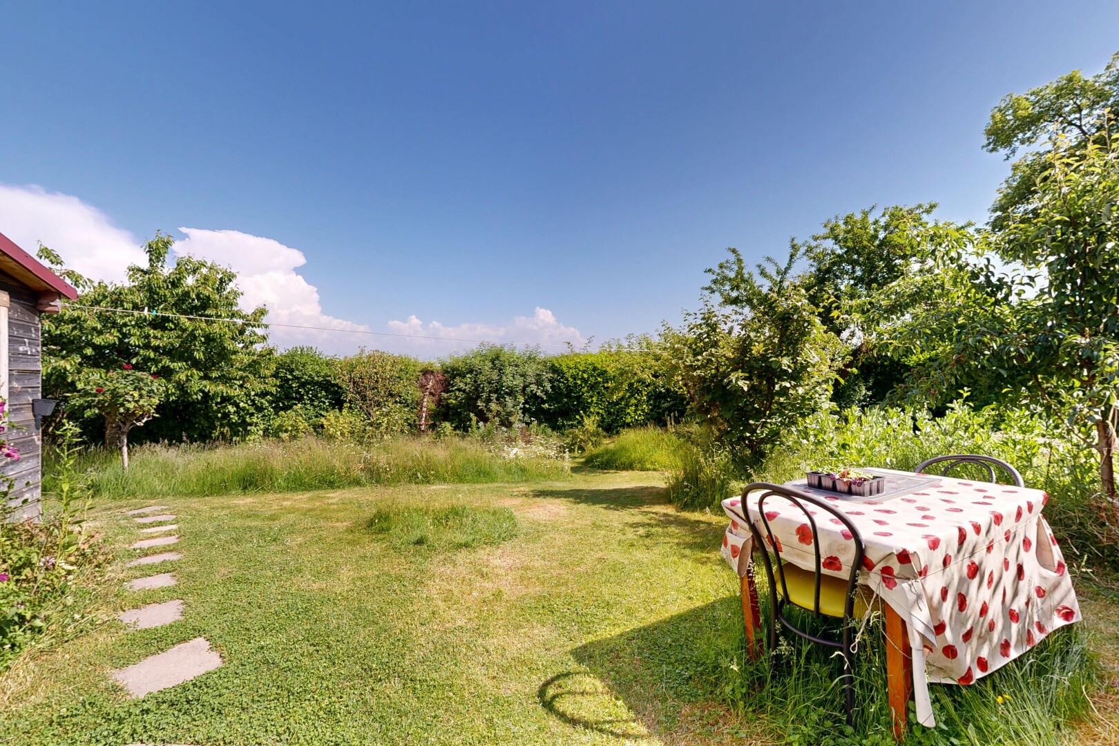 jardin avec pelouse et day time