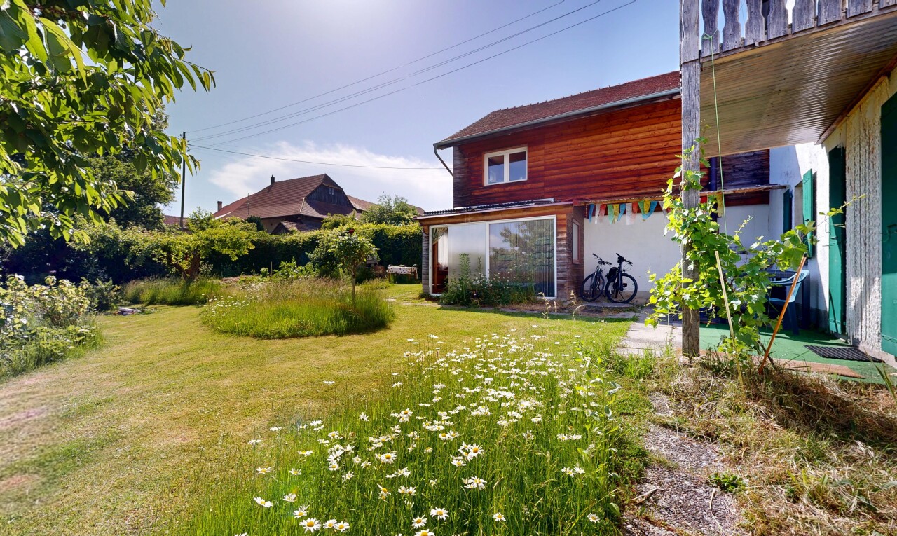 jardin avec pelouse, from property, power lines view, et day time