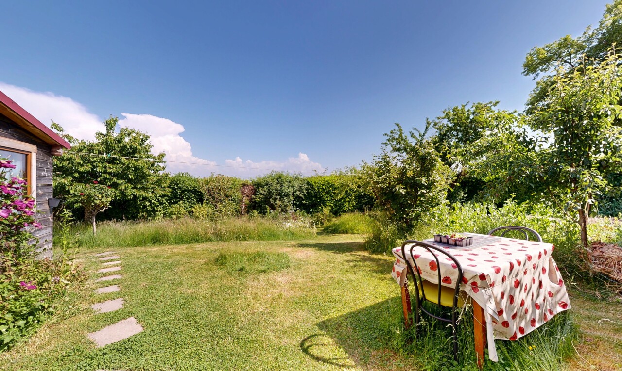 jardin avec pelouse et day time