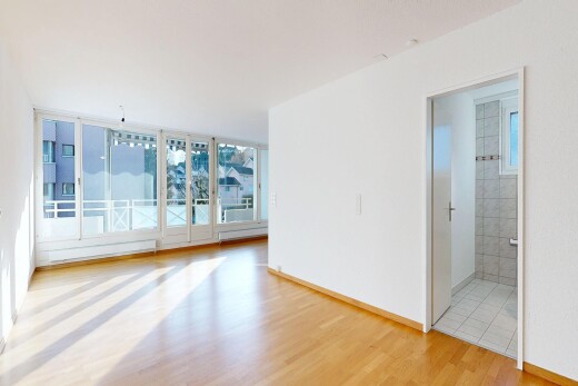 leerer raum mit holzfußboden, wood finish floor, gipskartonwand, drywall, und light floor