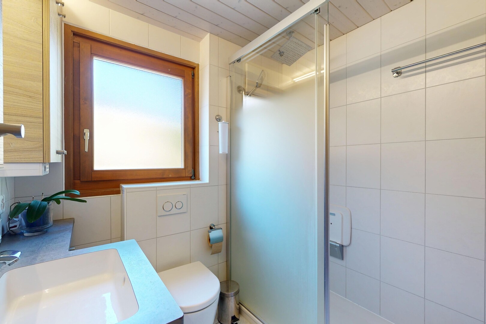 salle de bains avec toilette, lumière naturelle, natural light, salle de bain complète, et douche