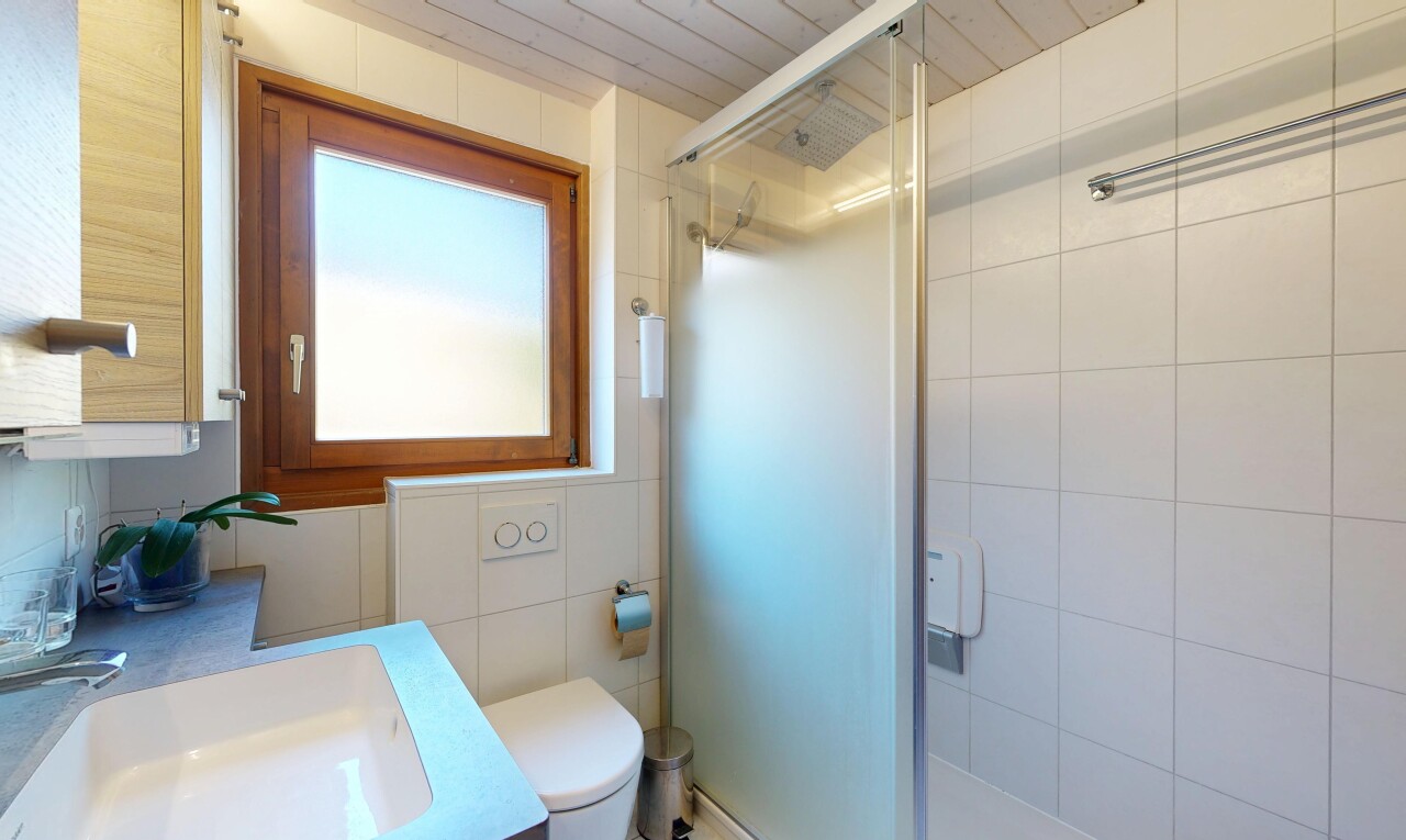 salle de bains avec toilette, lumière naturelle, natural light, salle de bain complète, et douche