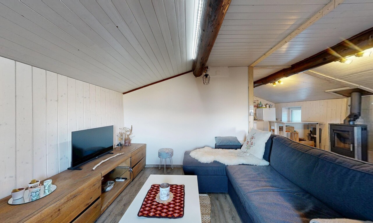salon avec mur en bois, wood wall, plafond voûté, vaulted ceiling, et télévision
