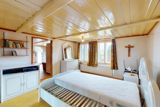 zimmer / schlafzimmer mit teppich, niedrige decke, und natürliches licht