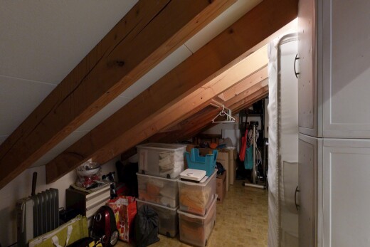 storage / pantry featuring radiator