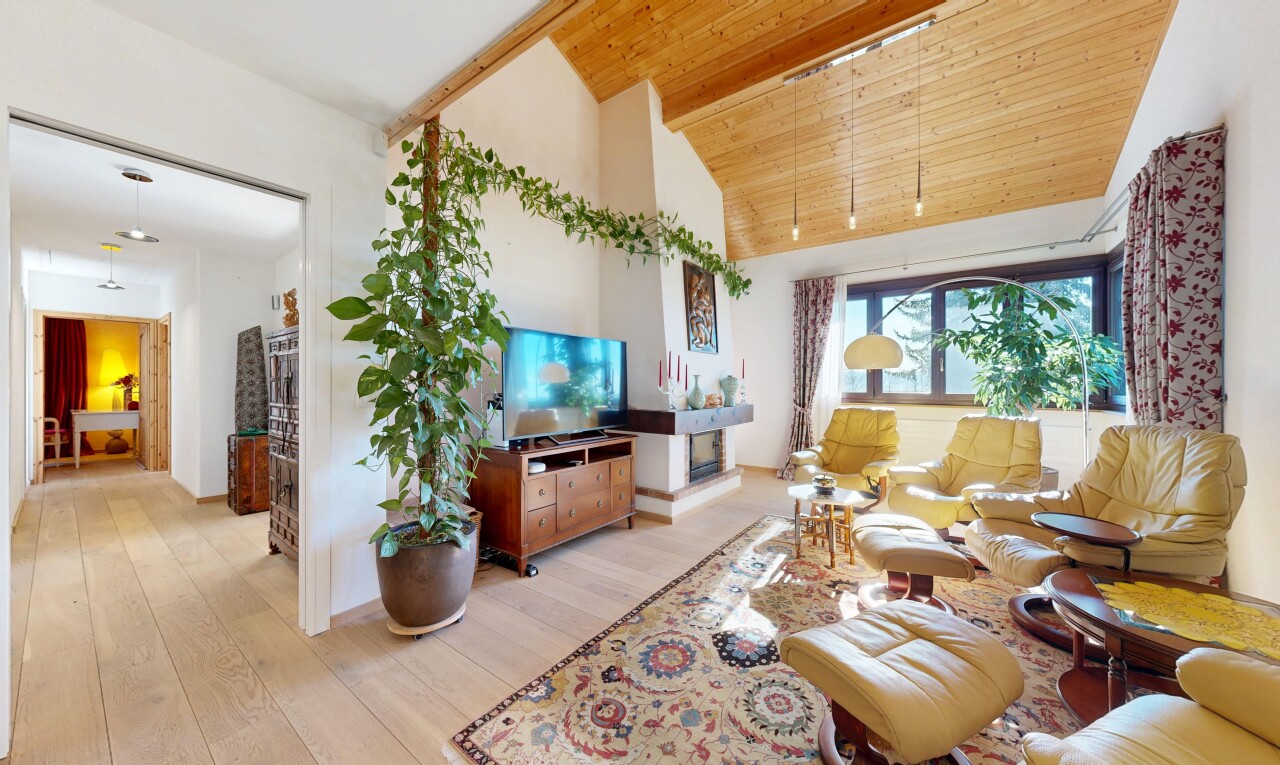 salon avec inside property, natural light, lumière naturelle, télévision, et wood ceiling