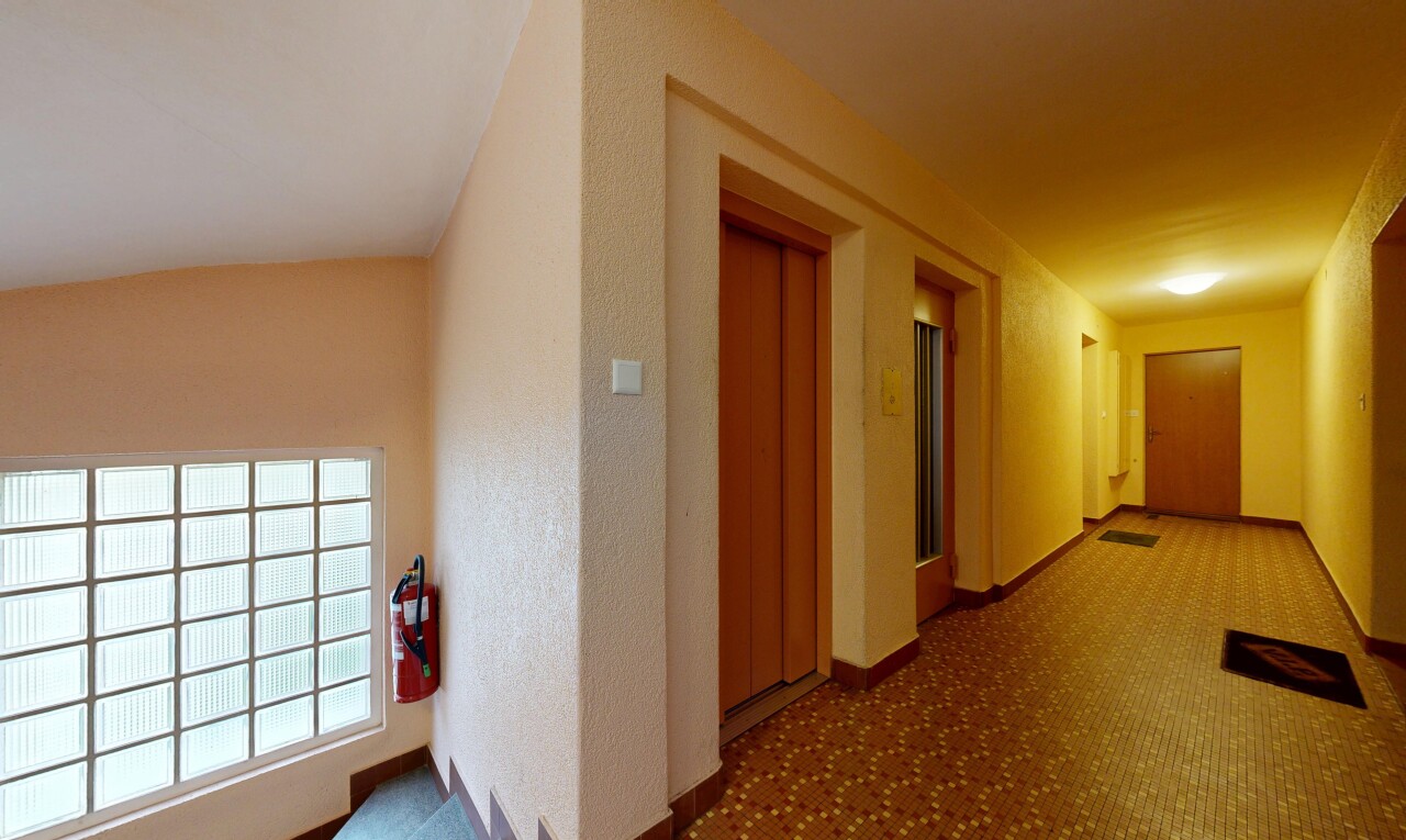 halle / korridor mit teppich, carpet, inside property, aufzug, und sockelleisten