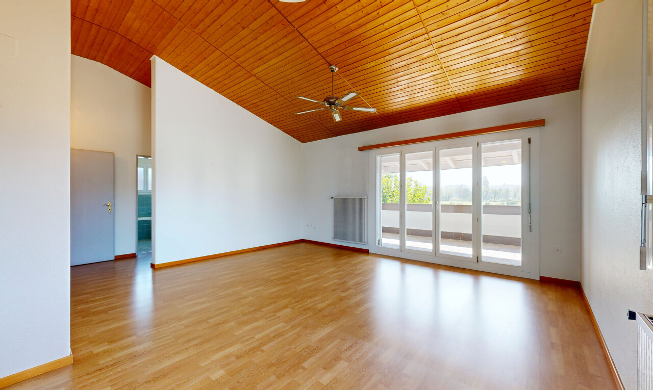 leerer raum mit dachschräge, vaulted ceiling, hohe decke, high ceiling, und gipskartonwand