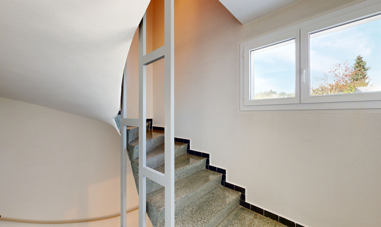 treppe mit carpet stairs, day time, drywall, gipskartonwand, und inside property