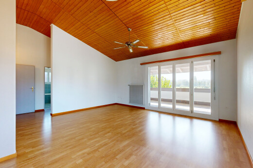 leerer raum mit dachschräge, vaulted ceiling, hohe decke, high ceiling, und gipskartonwand