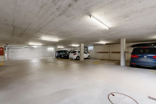 parken mit parkgarage