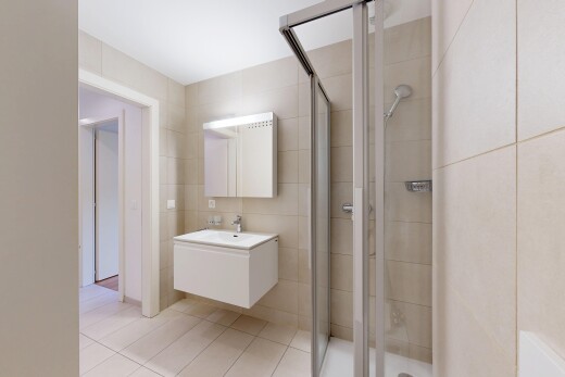 bad mit dusche, fliesenwand, tile wall, spiegel, und komplettes badezimmer