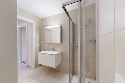 bad mit dusche, fliesenwand, tile wall, spiegel, und komplettes badezimmer