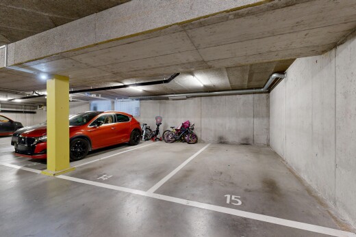 parken mit parkgarage