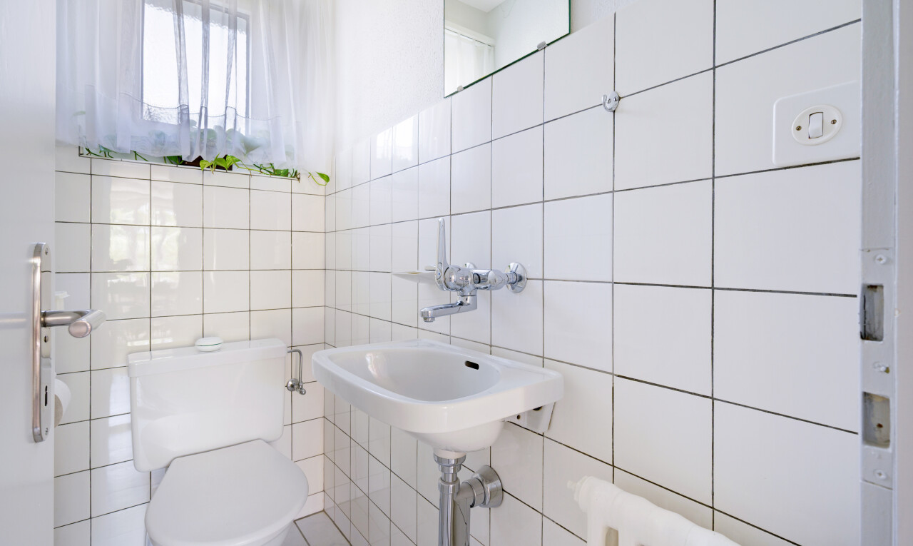 bad mit gäste-wc, natürliches licht, natural light, toilette, und waschbecken